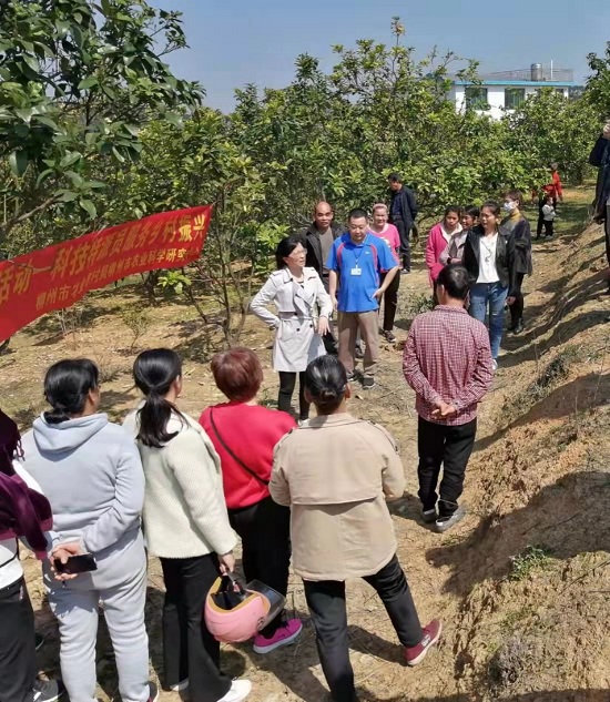 城中区人社局联合城中区农业农村局邀请专家到环江村给村民讲授果树种植技术知识.jpg