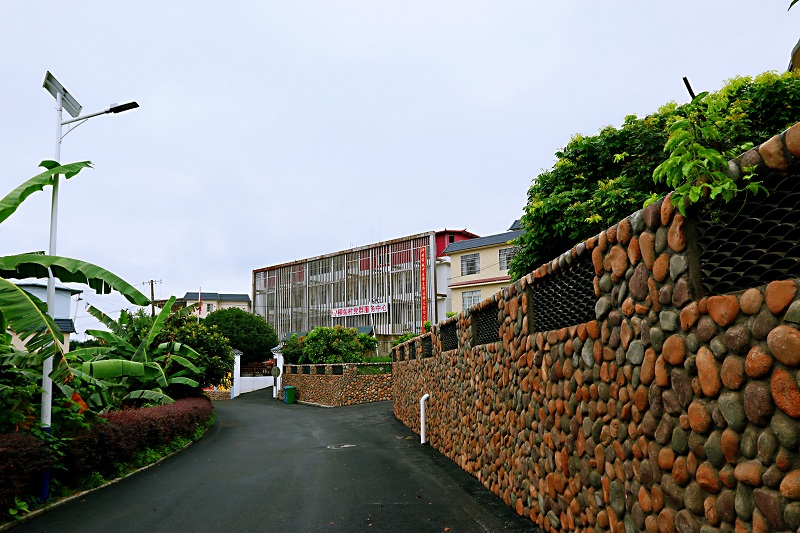 美丽的柳东村.jpg