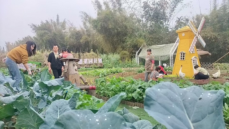 城中区：丰富市民“菜园子” 鼓起农民“钱袋子”