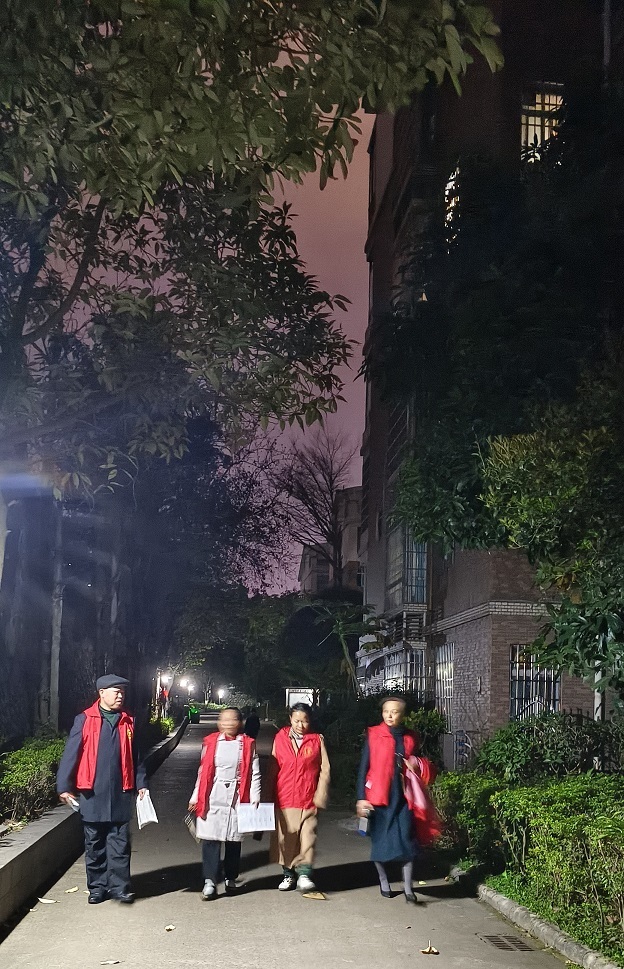 党员先锋志愿服务队——夜巡志愿服务.jpg