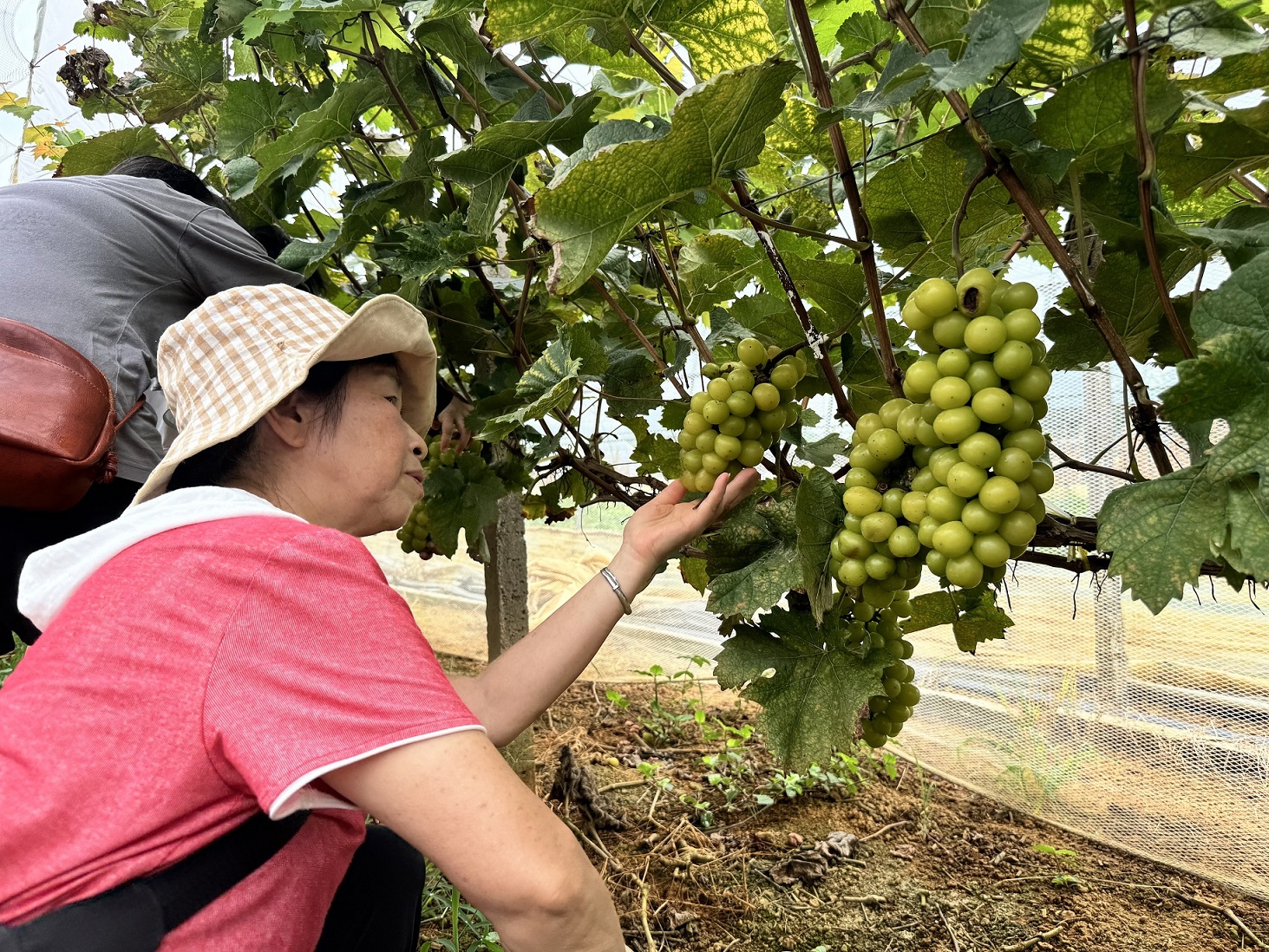 2024年08月10日西雅社区“携手同心谋幸福,爱满七夕铸和谐”七夕节主题活动图片 (9).jpg